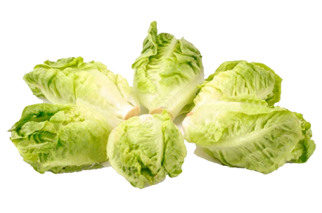 Green Mini Cos