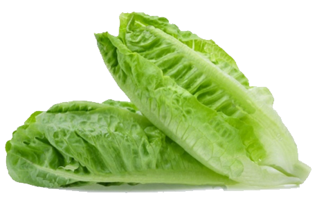Green Midi Cos